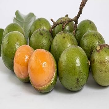 Mamoncillo Fruit Seeds for Planting