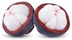 Mangosteen Fruit Seeds