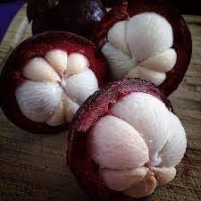 Mangosteen Fruit Seeds for Planting