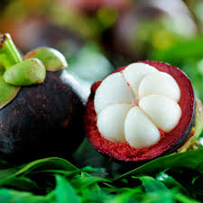 Mangosteen Fruit Seeds for Planting | Heirloom Non-GMO Organic Seeds for Sweet, Tropical Garden Fruits