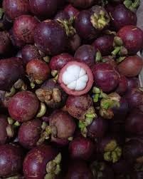 Mangosteen Seeds