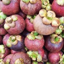 Mangosteen Seeds