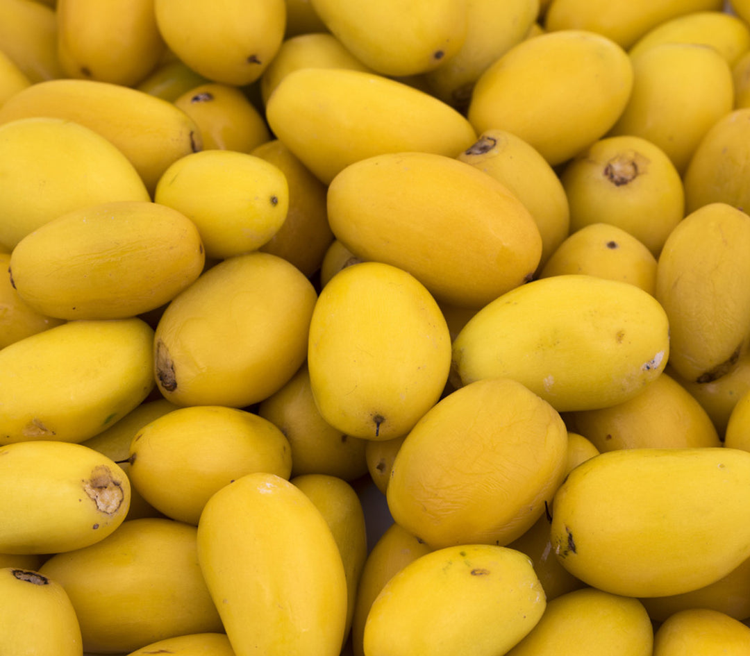 Manilkara Kauk Fruit Seed Collection | Exotic Non-GMO Seeds for Sweet, Tropical Fruits