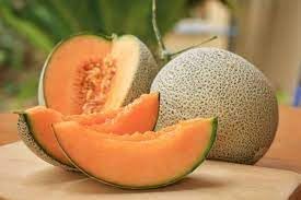 Melon Fruit Seeds for Planting | Heirloom Non-GMO Organic Seeds for Juicy, Flavorful Garden Melons