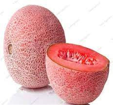 Melon Lesya Fruit Seeds for Planting