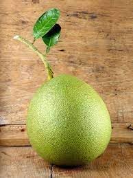 Melon Pinonet Fruit Seeds for Planting