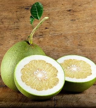 Melon Pinonet Fruit Seeds for Planting