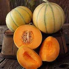 Melon Seeds