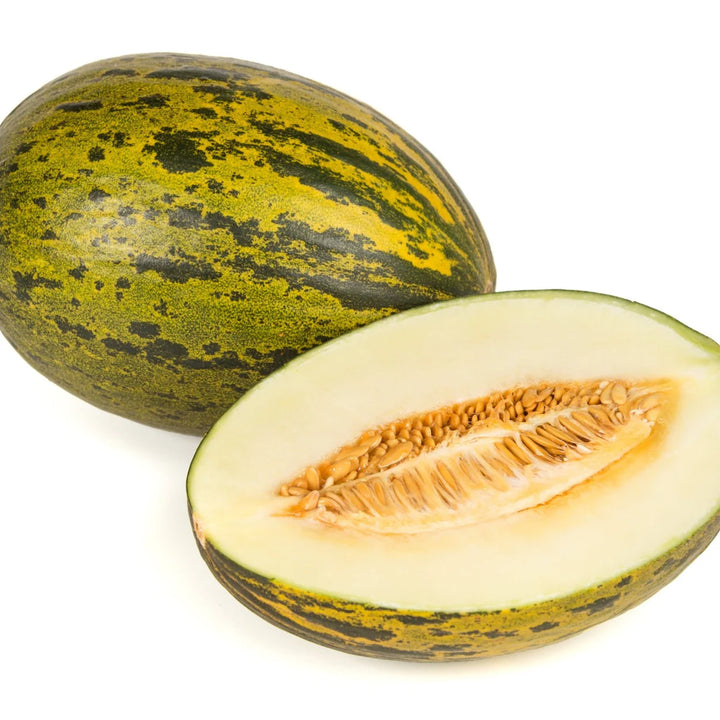 Melon Piel De Sapo Seeds for Planting – Heirloom, Non-GMO, High Germination Organic Garden Seeds for Sweet, Juicy Melons