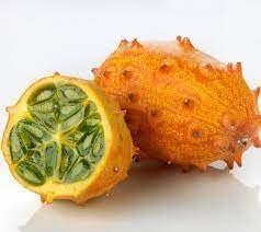 Metuliferus Melon Vegetable Seed Collection | Heirloom Non-GMO Organic Garden Seeds for Unique Fruit Growth