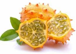 Metuliferus Melon Vegetable Seed Collection | Heirloom Non-GMO Organic Garden Seeds for Unique Fruit Growth