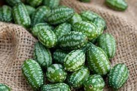 Mini Melon Fruit Seed Pack for Planting | Heirloom Non-GMO Organic Garden Seeds for Small Sweet Melons