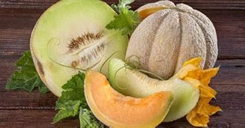 Mixed Cantaloupe Melon Fruit Seeds for Planting