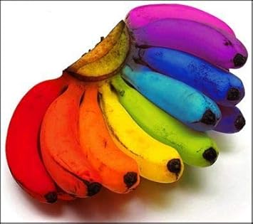 Mixed Colour Banana Fruit Seeds for Planting