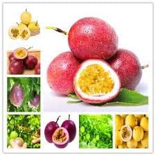 Mixed Passion Fruit Seeds for Planting