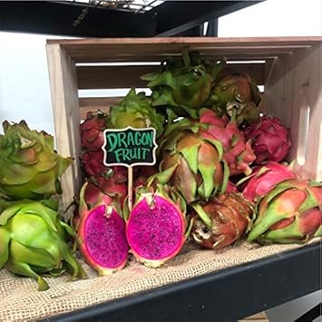 Mixed Pitaya Fruit Seeds for Planting