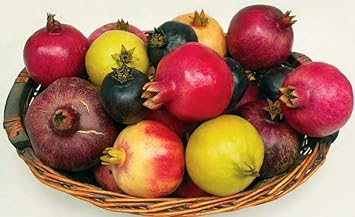 Mixed Pomegranate Fruit Seeds for Planting