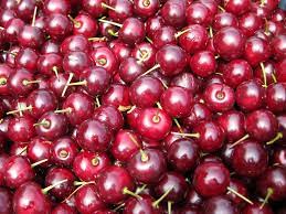 Morello Sour Cherry Fruit Seed for Planting