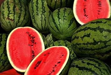 Mountain Hoosier Watermelon Fruit Seeds for Planting