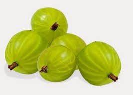 Mulberry Tree Seeds