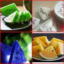 Multi-Colour Watermelon Fruit Seeds for Planting