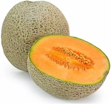 Musk Melon Fruit Seed Set | Non-GMO Seeds for Sweet, Refreshing Melons