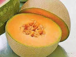 Musk Melon Fruit Seed Set | Non-GMO Seeds for Sweet, Refreshing Melons