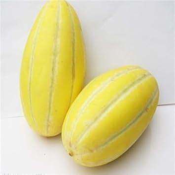 Musk Melon Fruit Seeds for Planting