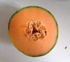Muskmelon (Cucumis melo) Fruit Seeds for Planting