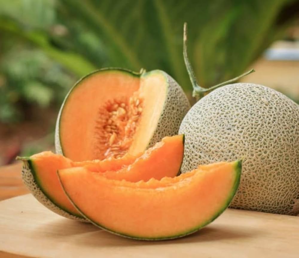 Muskmelon Fruit Seeds for Planting