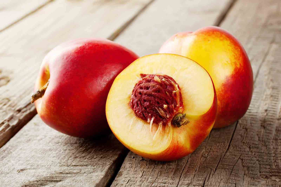 Red Nectarine Fruit Seeds - Grow Juicy and Sweet Nectarines at Home  100 pcs