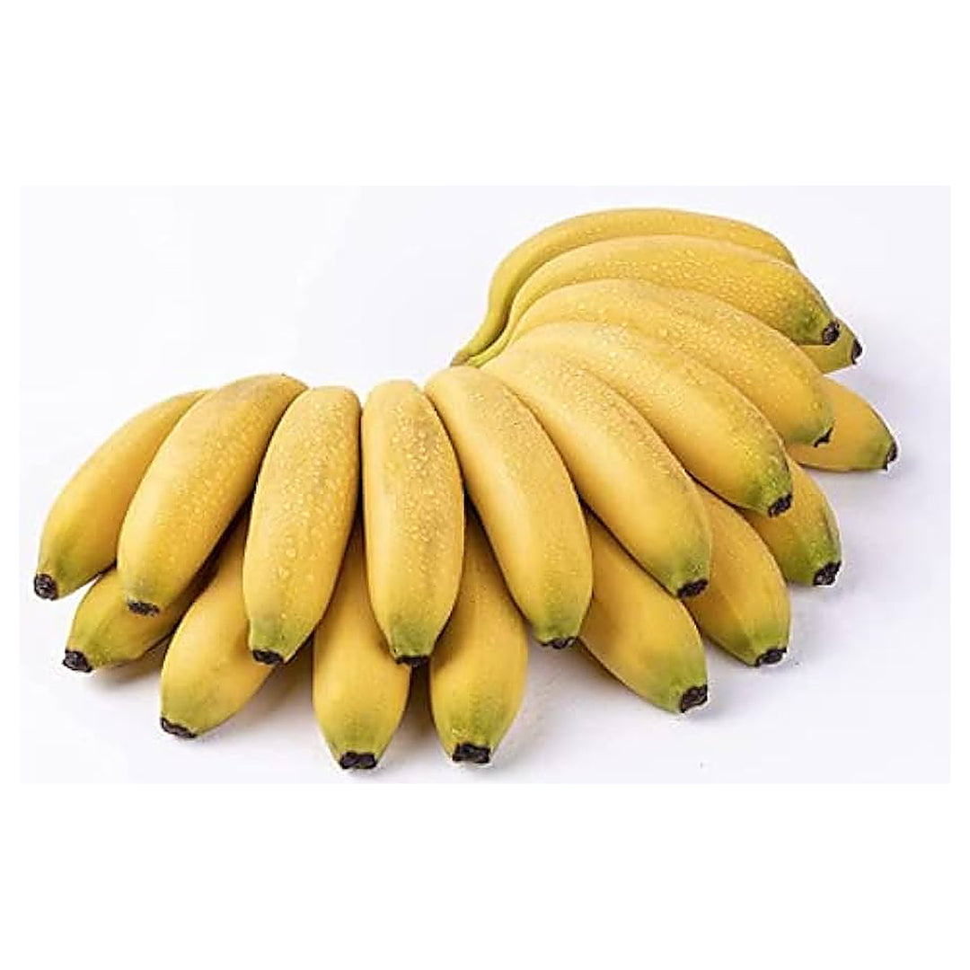 Manzano (Apple Banana) Fruit Seeds for Planting – Sweet Tropical Bananas, Heirloom &amp; Non-GMO, High Germination Seed | Neera Seeds product photo [neera-v4-0079a874299d6acfe157]