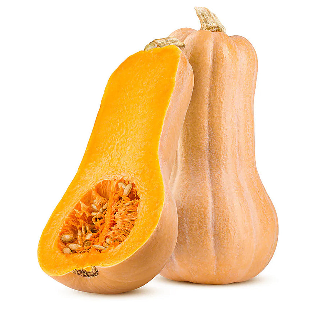 Heirloom Butternut Squash Vegetable Seeds for Planting – Non-GMO, Organic Garden Seeds with High Germination | Neera Seeds product photo [neera-v4-01286ee5c6117c58c52f]