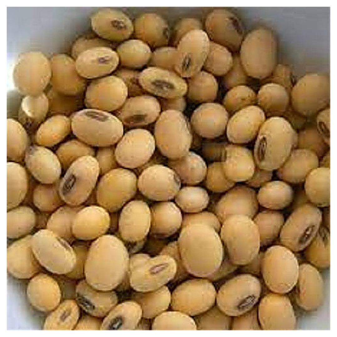 Brown Edible Soybean Seeds for Planting – Heirloom, Non-GMO, Organic Garden Seeds, High Germination Edamame | Neera Seeds product photo [neera-v4-01a9b61cf4ea4a6b25fc]