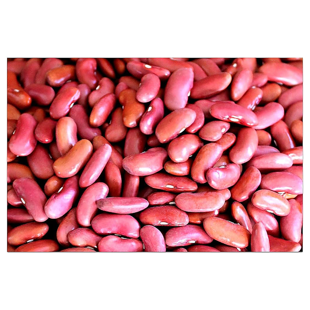 Red Heirloom Non Gmo Dark Kidney Beans Smaller Garden Spaces With Nutritious Beans Flower Seeds | Neera Seeds product photo [neera-v4-02078e0d13c1db9ab499]