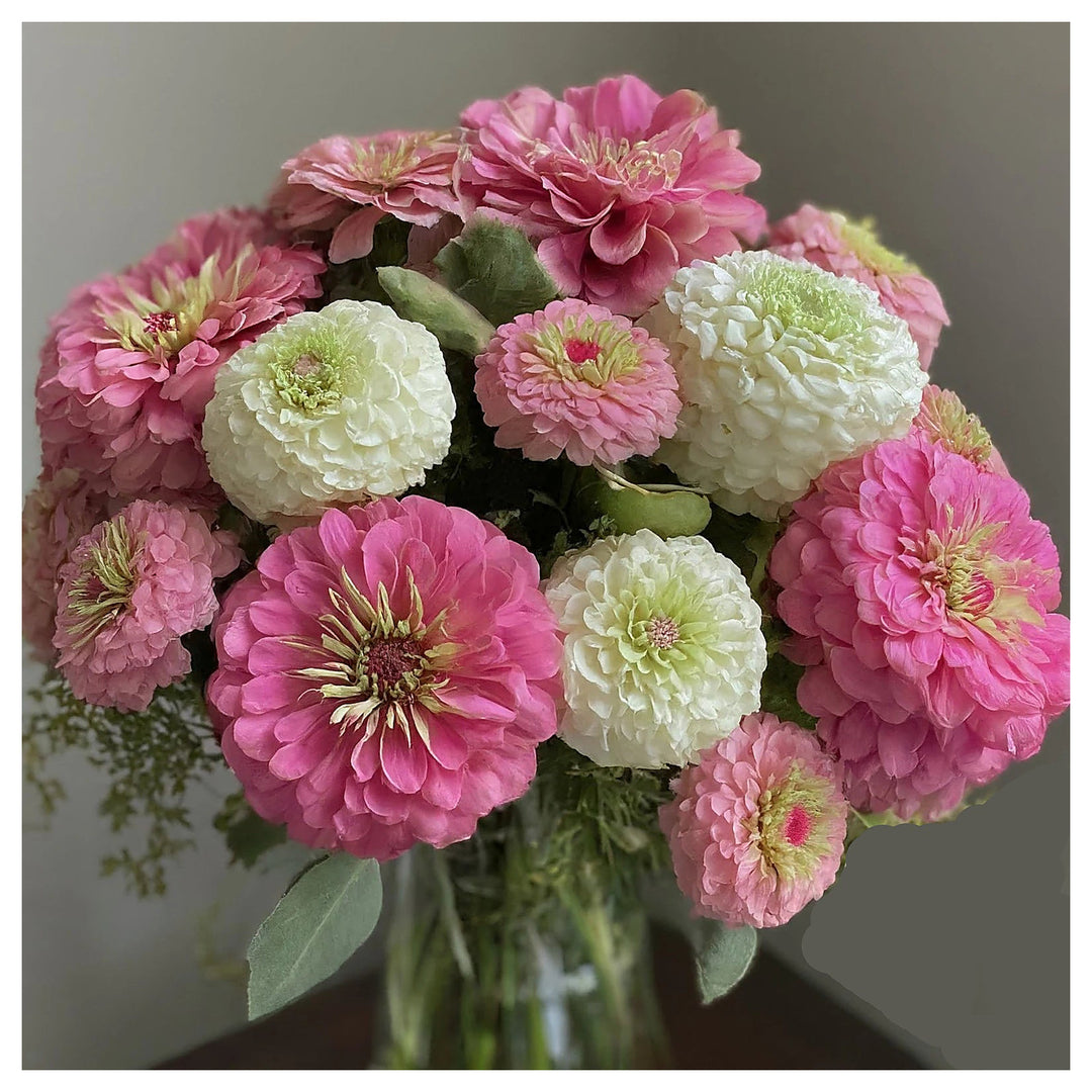 Heirloom Pastel Mix Zinnia Flower Seeds for Planting – Bright, Vibrant Blooms for Your Garden | Neera Seeds product photo [neera-v4-02a7974e1faaa918c11c]