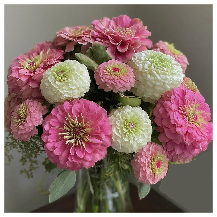 Heirloom Pastel Mix Zinnia Flower Seeds for Planting – Bright, Vibrant Blooms for Your Garden | Neera Seeds product photo [neera-v4-02a7974e1faaa918c11c]