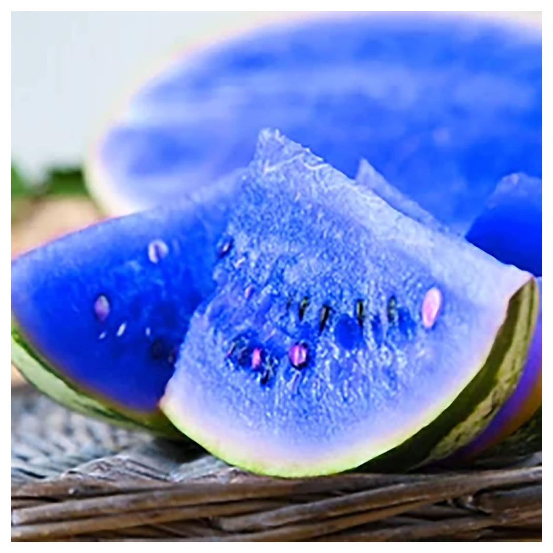Dark Blue Watermelon Fruit Seeds for Planting – Heirloom &amp; Non-GMO Seeds for Sweet and Juicy Summer Harvests | Neera Seeds product photo [neera-v4-034ca0d81b62cac9e090]