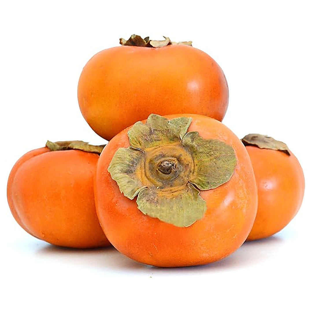American Persimmons Fruit Tree Seeds for Planting – Heirloom Non-GMO High Germination Organic Garden Seeds | Neera Seeds product photo [neera-v4-04f483fa7094f7f77d36]