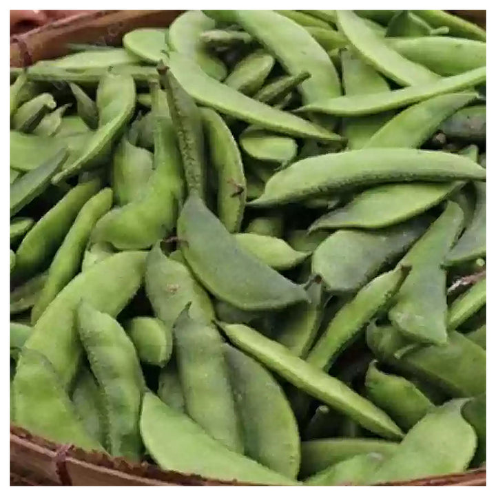 Runner Bean Seeds for Planting – Heirloom, Non-GMO, High Germination Organic Garden Seeds for Climbing Beans | Neera Seeds product photo [neera-v4-054e9b14d80af721d385]