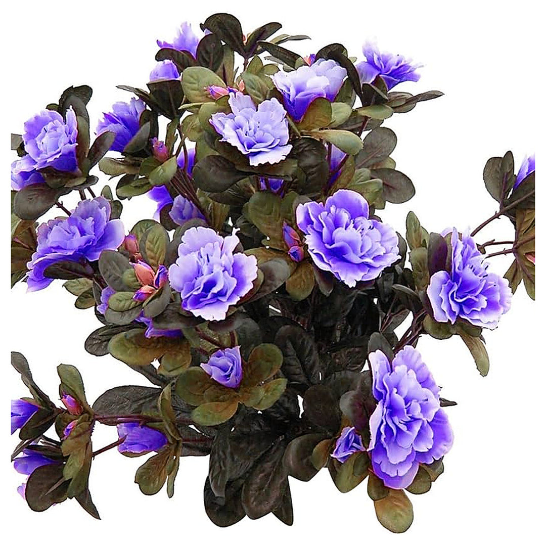 Japanese Rhododendron Azalea Flower Seeds - Heirloom, Non-GMO, High Germination Organic Garden Seeds for Planting | Neera Seeds product photo [neera-v4-059831791d095b92512a]