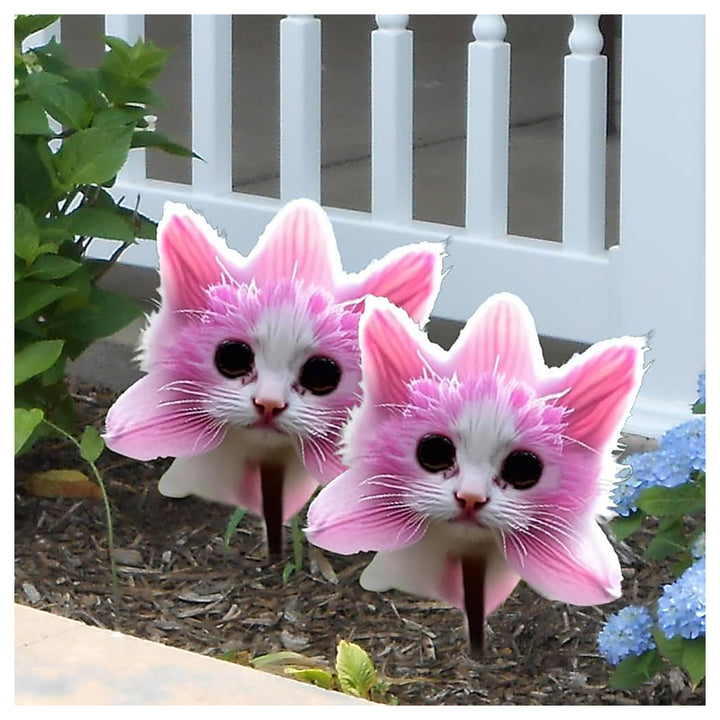 Cute Pink Cat&