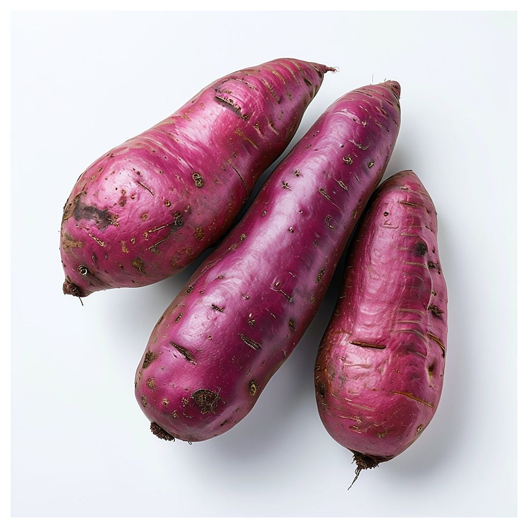 Pink Sweet Potato Vegetable Seeds for Planting – Heirloom, Non-GMO, Organic Garden Seeds, High Germination | Neera Seeds product photo [neera-v4-06e2a0b6ceb7eb77be49]