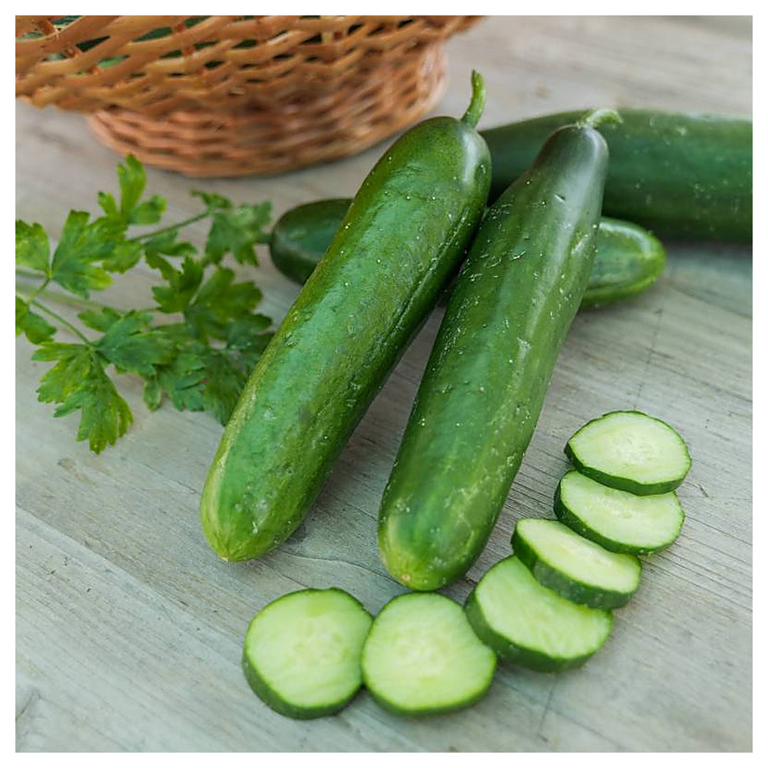 Organic Mini La Diva Cucumber Seeds for Planting – Non-GMO, Heirloom, High Germination Garden Seeds | Neera Seeds product photo [neera-v4-0817b5b8941bf5de3a39]