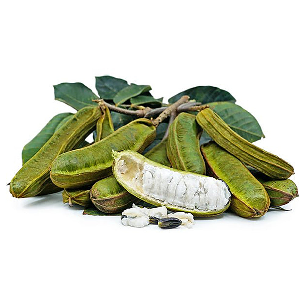 Ice Cream Bean Seeds for Planting – Inga Edulis, Tropical Fruit Tree Seeds, Heirloom, Non-GMO | Neera Seeds product photo [neera-v4-08c03606c567e4850efa]