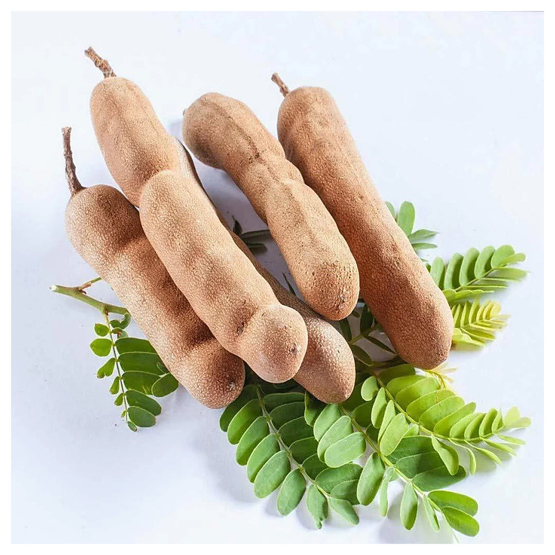 Tamarind Tree Seeds for Planting – Heirloom, Non-GMO, High Germination Organic Garden Seeds for Exotic Outdoor Gard | Neera Seeds product photo [neera-v4-0957872056f3b786fac7]