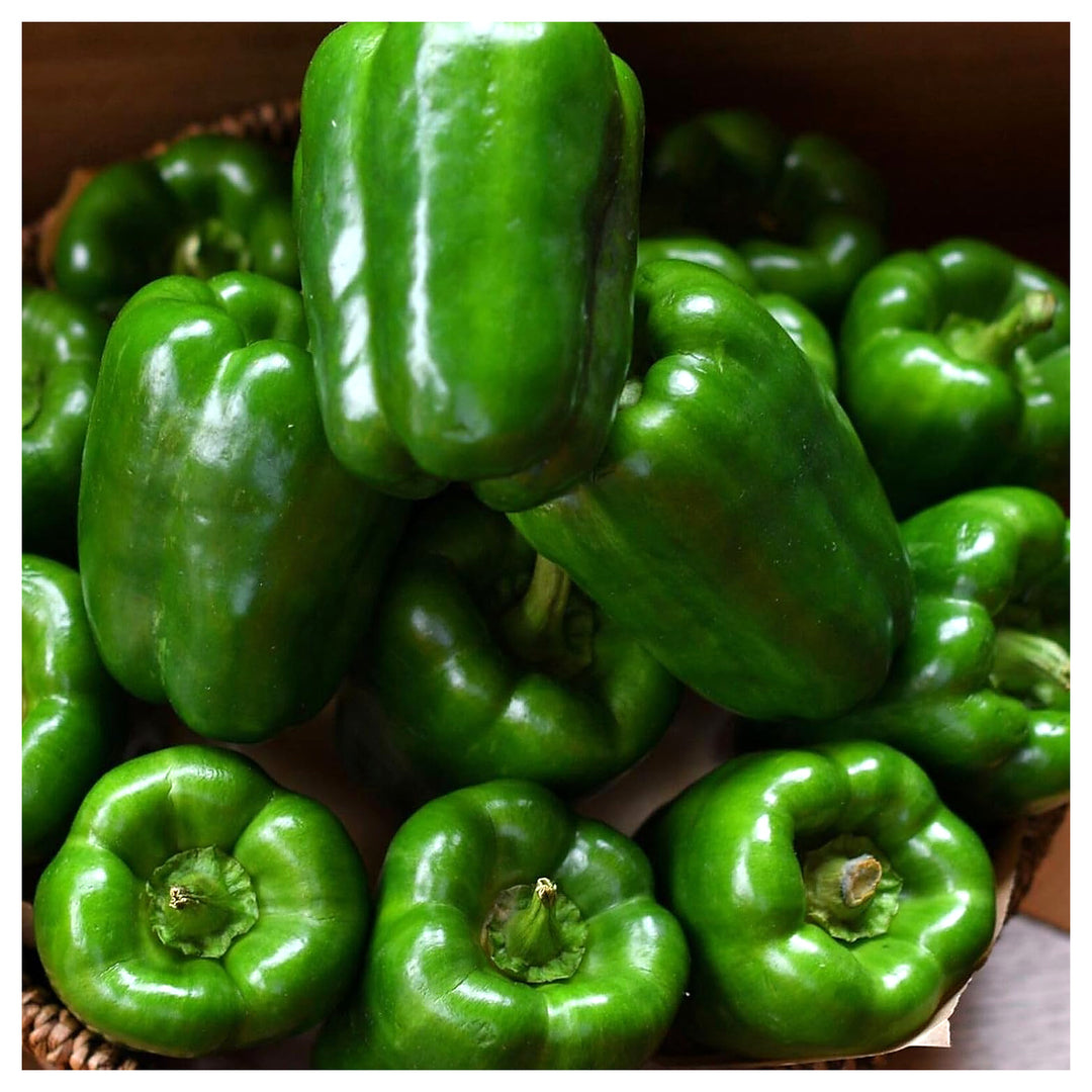 Cal Wonder Sweet Pepper Seeds for Planting - Heirloom, Non-GMO, Organic Garden Seeds, High Germination | Neera Seeds product photo [neera-v4-09b6ef86712e3a916f35]