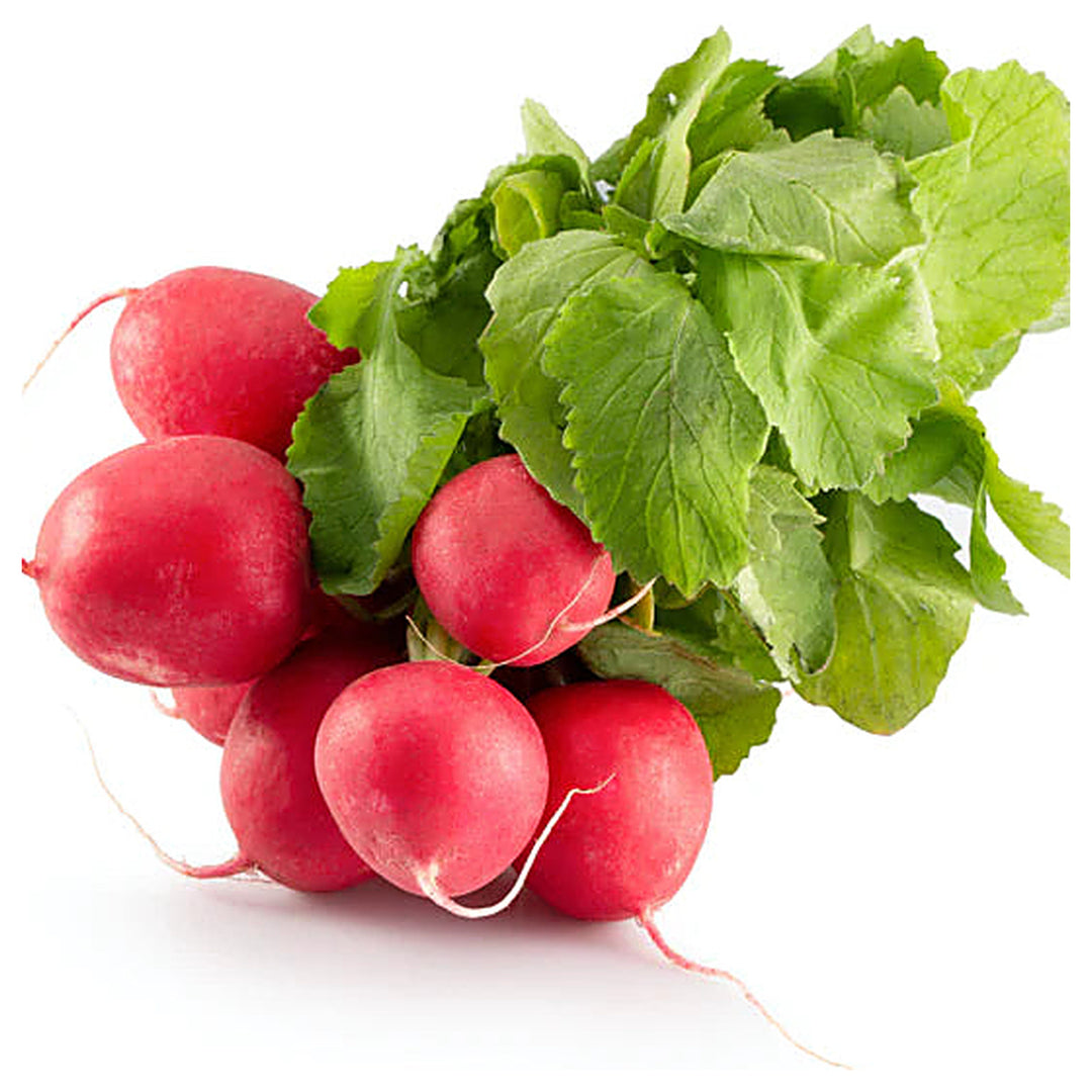 Red Turnip Vegetable Seeds for Planting – Heirloom, Non-GMO, Organic Garden Seeds, High Germination Root Vegetable | Neera Seeds product photo [neera-v4-0b56aa6101f910d029a3]