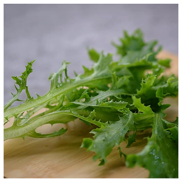 Mizuna Japanese Mustard Greens Seeds – Heirloom, Fast-Growing, Cold Hardy, Asian Leafy Vegetable | Neera Seeds product photo [neera-v4-0b6a59340e61a77cabf6]