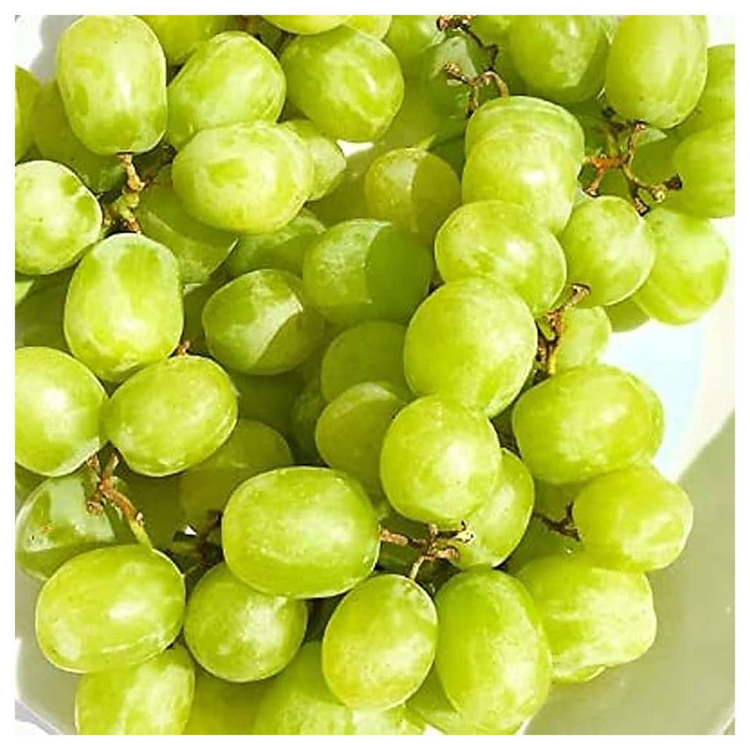 Heirloom Cotton Candy Grapes Fruit Seeds for Planting – Non-GMO, High Germination Organic Garden Seeds | Neera Seeds product photo [neera-v4-0f7dd57a0f448f158996]
